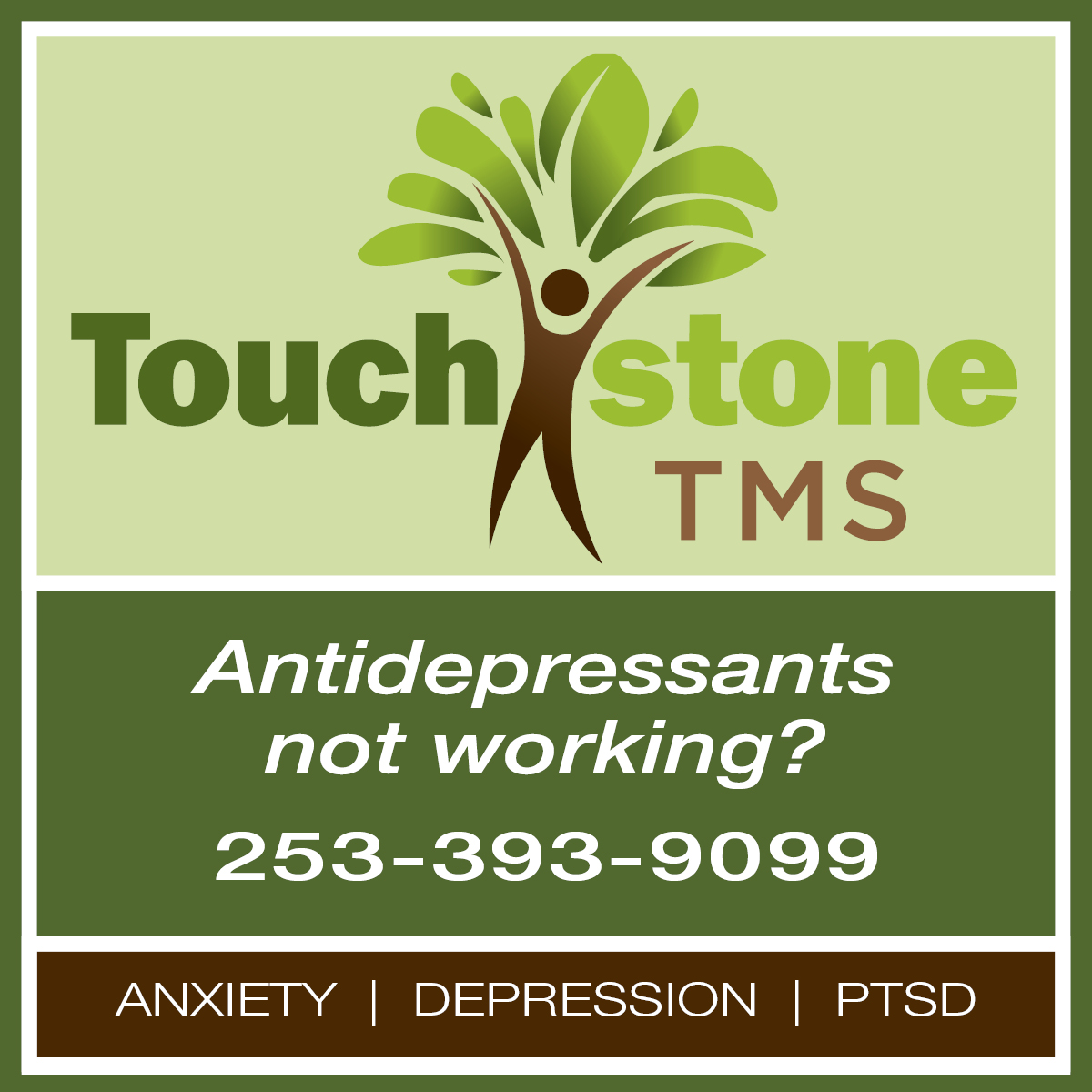 Side ad: Touchstone TMS